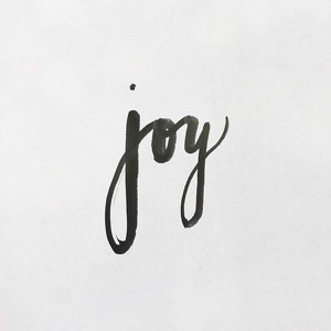 Fundraising Page: Joy Ford
